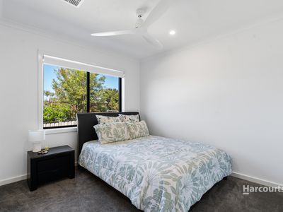 76 Gemini Way, Narrawallee