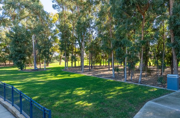7 Cactus La, Baldivis