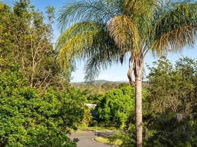 3 Raffia Street, Bellbowrie