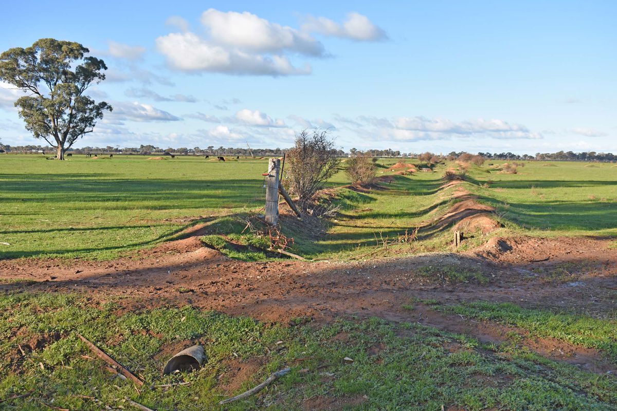 Cnr. Peppertree Lane & Gillies Road, Kyabram