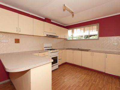 102 Wittenoom Street, West Lamington