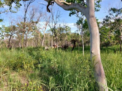 Lot 1 Oakey Creek Road, Cooktown