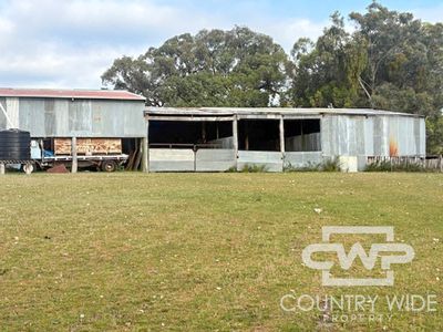 Lot 1, - Emmaville Rd, Emmaville