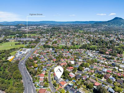 53 Stanleigh Crescent, West Wollongong
