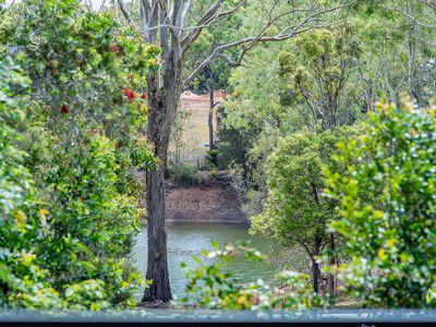 31 Black Gully Road, Tinaroo