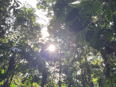 51 Waterfall Place, Jubilee Heights