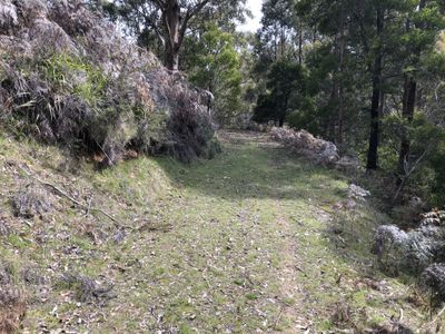 Lot 4, Lightwood Creek Road, Glen Huon