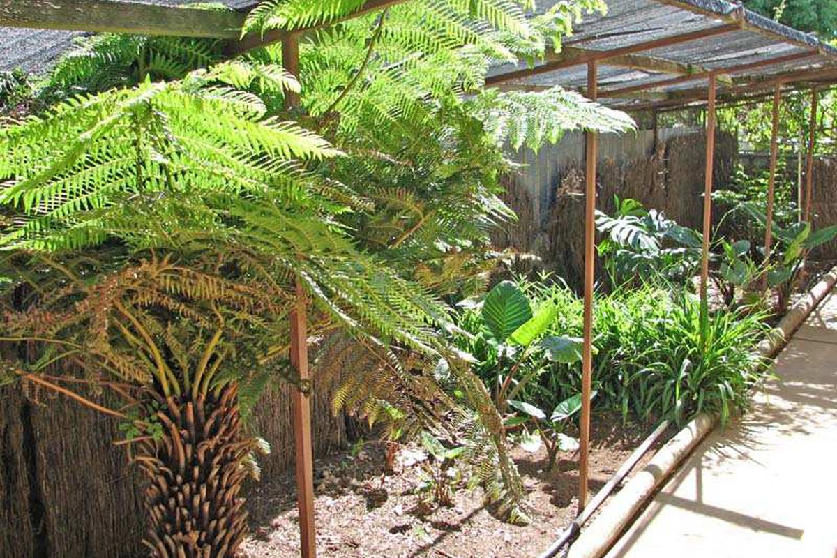 11 Gillespie Street, Kyabram