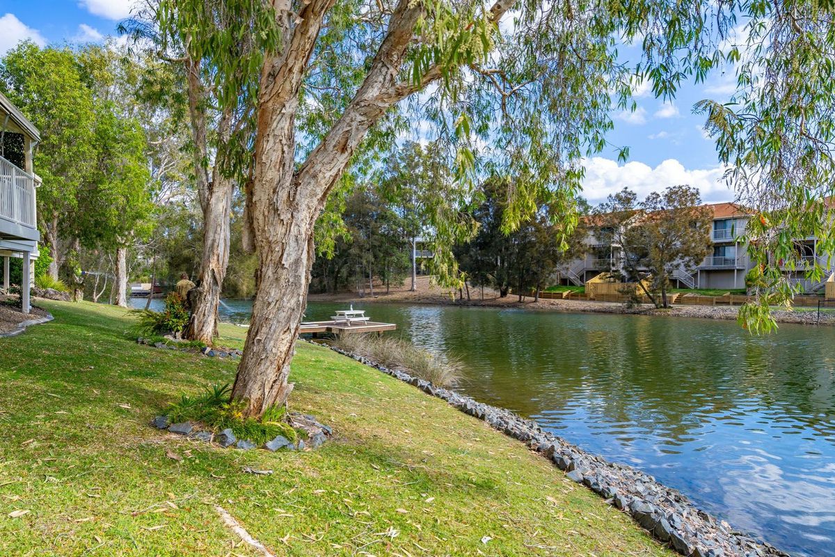 16 / 84 Cumberland Drive, Varsity Lakes