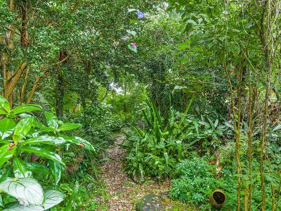 86 Cullen Street, Nimbin