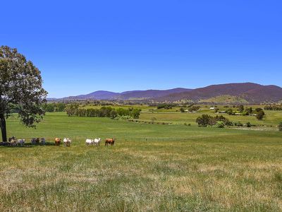 623 Back Creek Road, Yackandandah