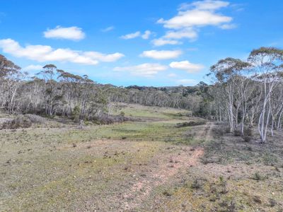 Lot 193 / 443 Back Creek Road, Mongarlowe