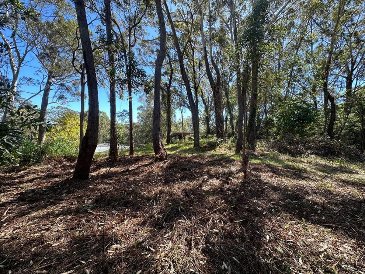 23 James Scott Crescent, Lemon Tree Passage, Lemon Tree Passage - Thumbnail 4