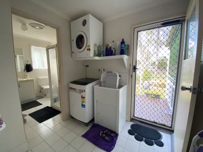 9 Palm Avenue / 14 Ibis Boulevard, Eli Waters