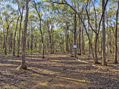 345 East Boundary Road, Murchison