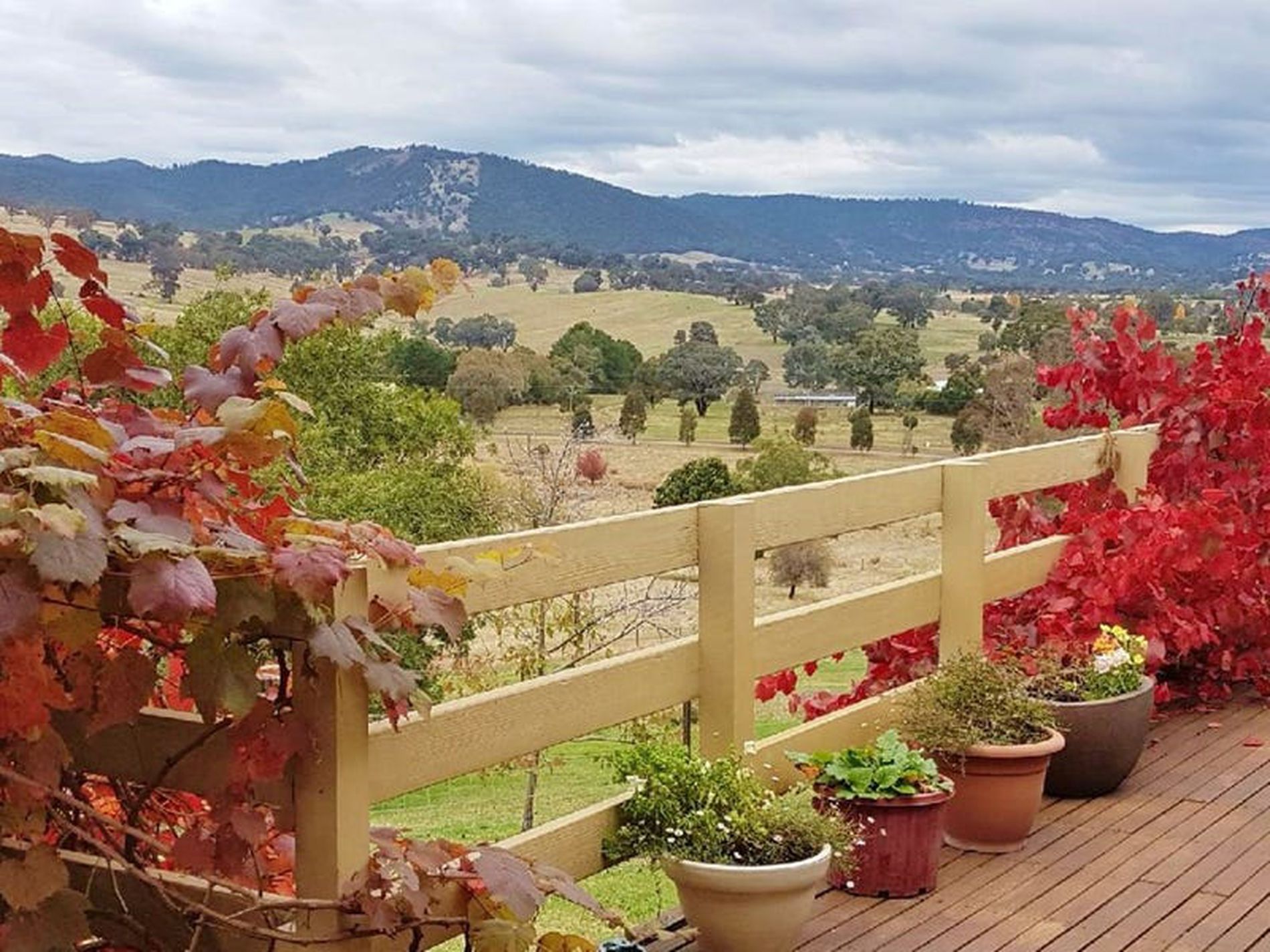 75 Killarney Lane BOOROLITE, Mansfield District Property Group