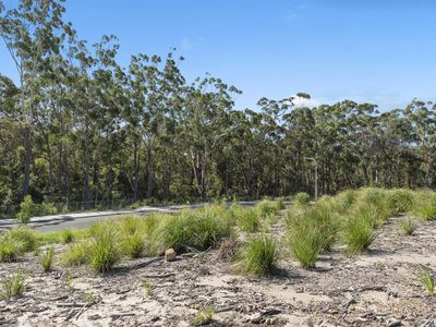 128 Seaspray Street, Narrawallee