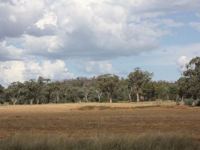 458 Sir Ivan Dougherty Drive, Dunedoo