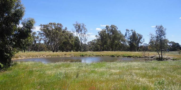 112 Jefferies Road Locksley, Avenel