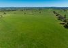 1097 Davys Plains Road, Cudal