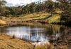 166 Green Hill Lane, Wyndham