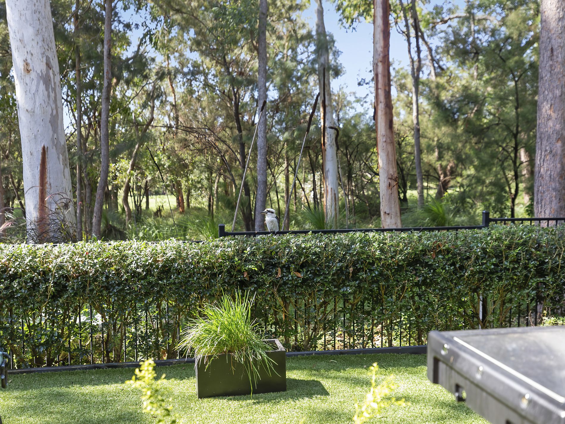 22 Lakeside Drive, Peregian Springs