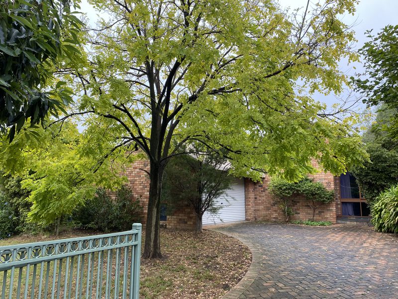 10 Leonard Street, Deepdene