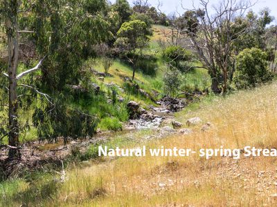 860 Campersic Road, Brigadoon