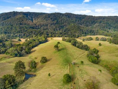 1242 Tuntable Creek Road, Nimbin