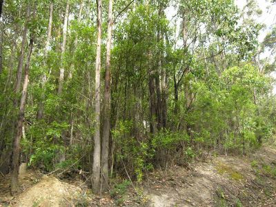 692 Bermuda Road, Glen Huon