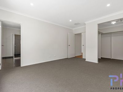 8 Eucalyptus Street, Jackass Flat