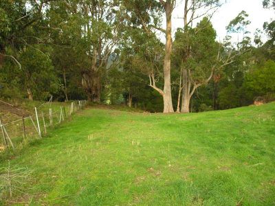 251 Silver Hill Road, Cygnet