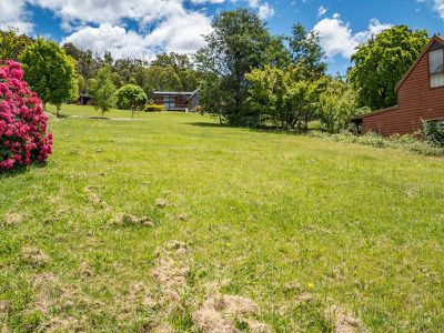 17 Buckland Street, Tawonga South
