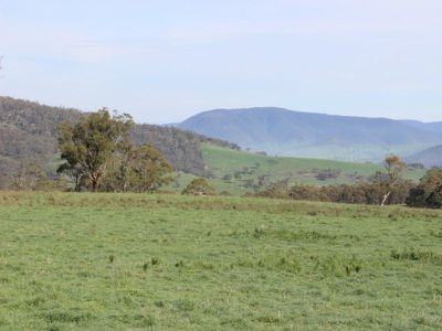 Jerry's Falls Road, Sodwalls