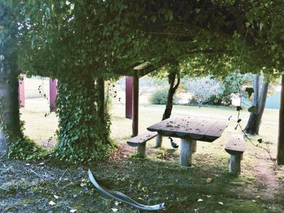 F2480 Princes Highway, Termeil