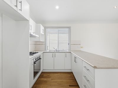 81 / 2 MacLeay Drive, Halekulani