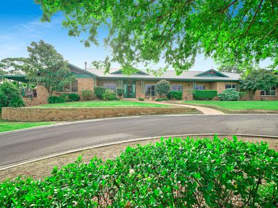 20 Toby Place, Razorback