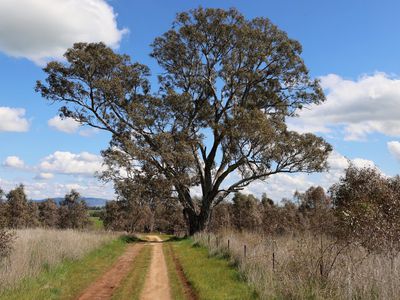 127 Lyell Road, Redesdale