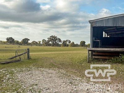 Lot 1, - Emmaville Rd, Emmaville