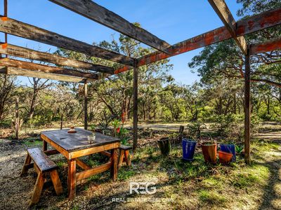 355 Elkington Road, Bellbrae