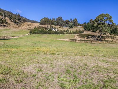 167 Glen Huon Road, Huonville
