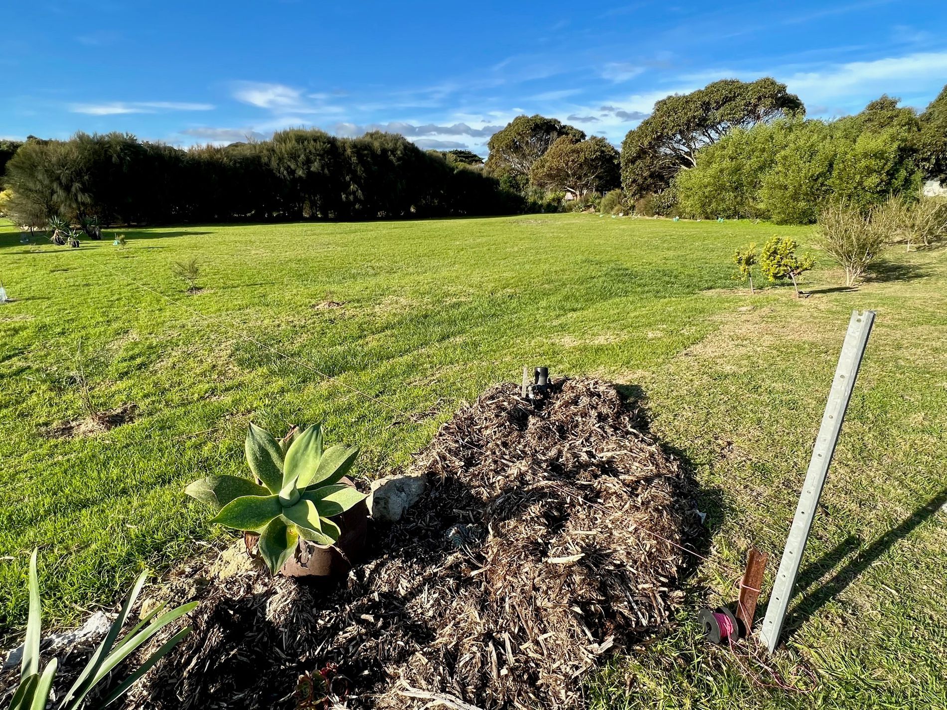 22 Linnell Drive, Beachport