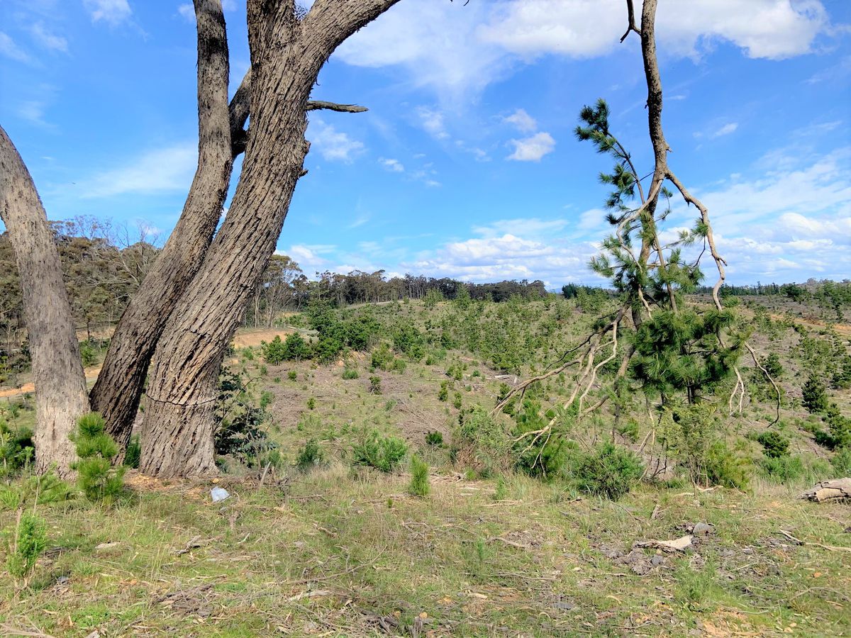 Lot 2, Maintongoon Road, Bonnie Doon