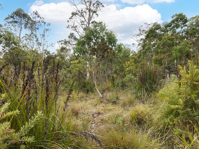 16 Brewis Place, Lake Leake