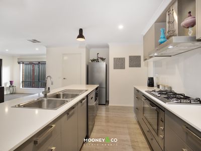 29 Cornflower Rise, Botanic Ridge
