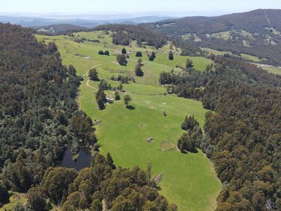 Lot 1 (99 Acres), Coal Mine Road, Kaoota