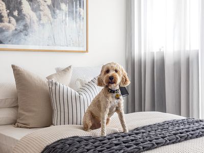 503 / 25 Windsor Terrace, Williamstown