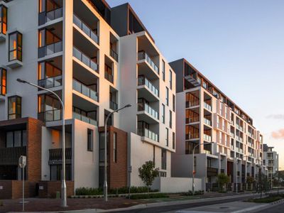 303 / 119 Ross St, Forest Lodge