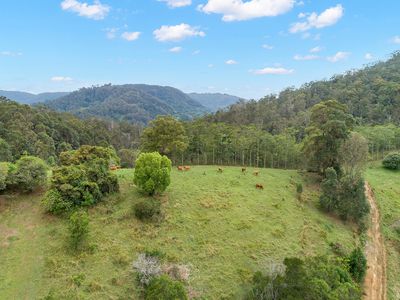 Lot 177 Kirbys Road, Obi Obi