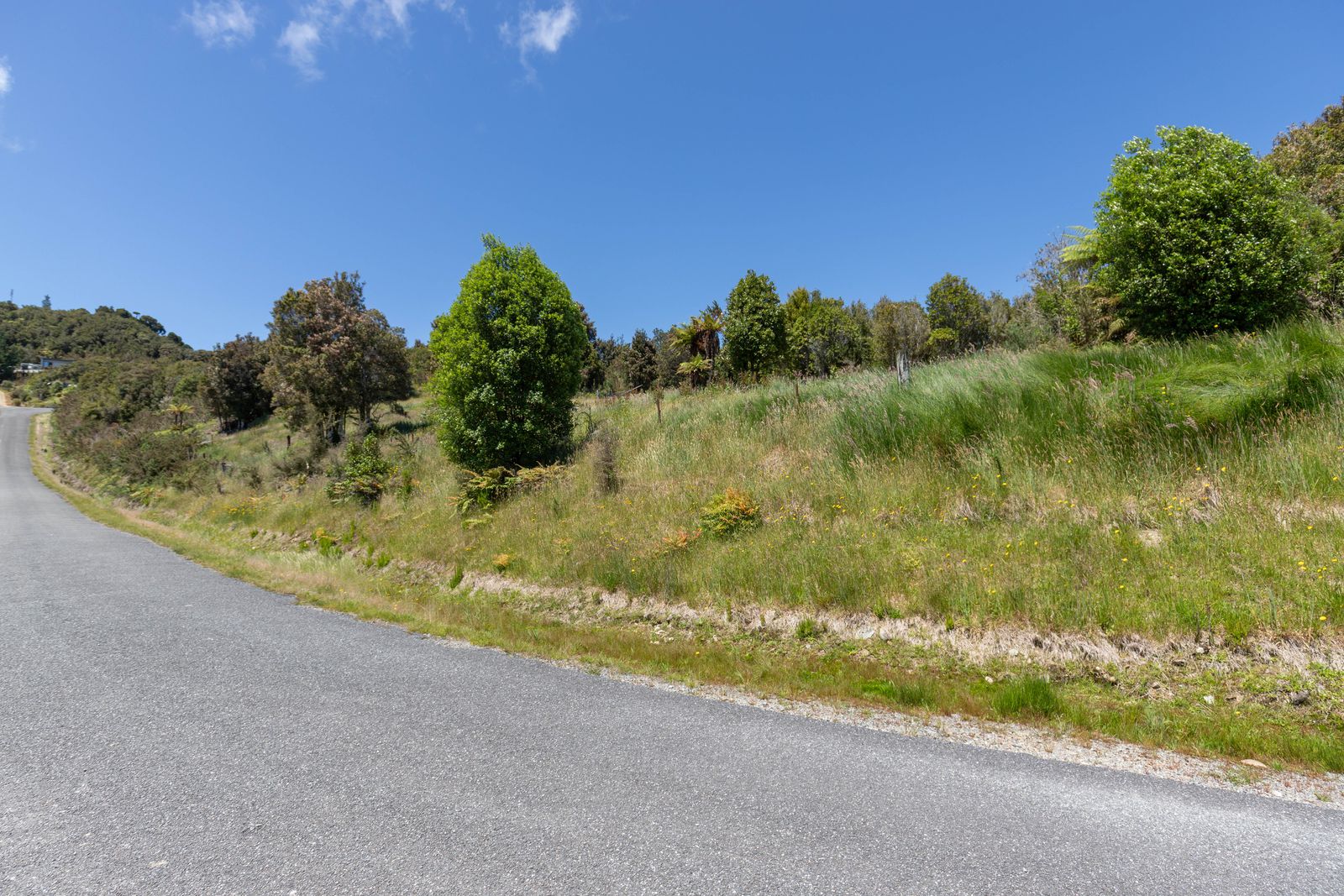 4  Little Paddock Road